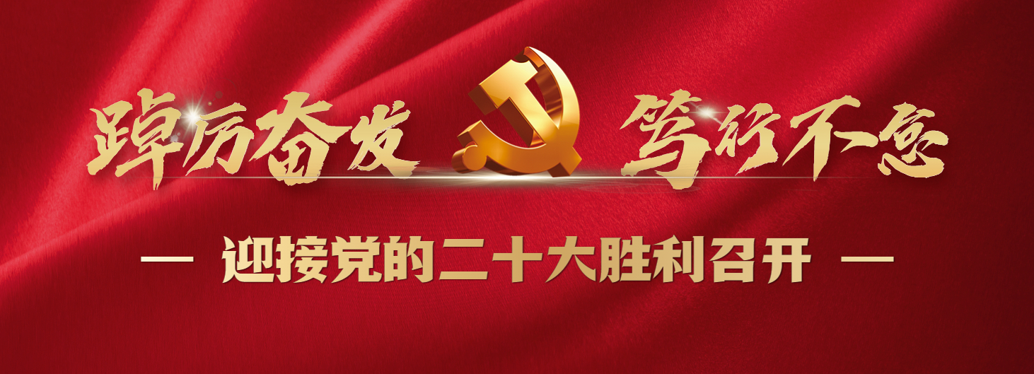 踔厉奋发，笃行不怠，迎接党的二十大胜利召开